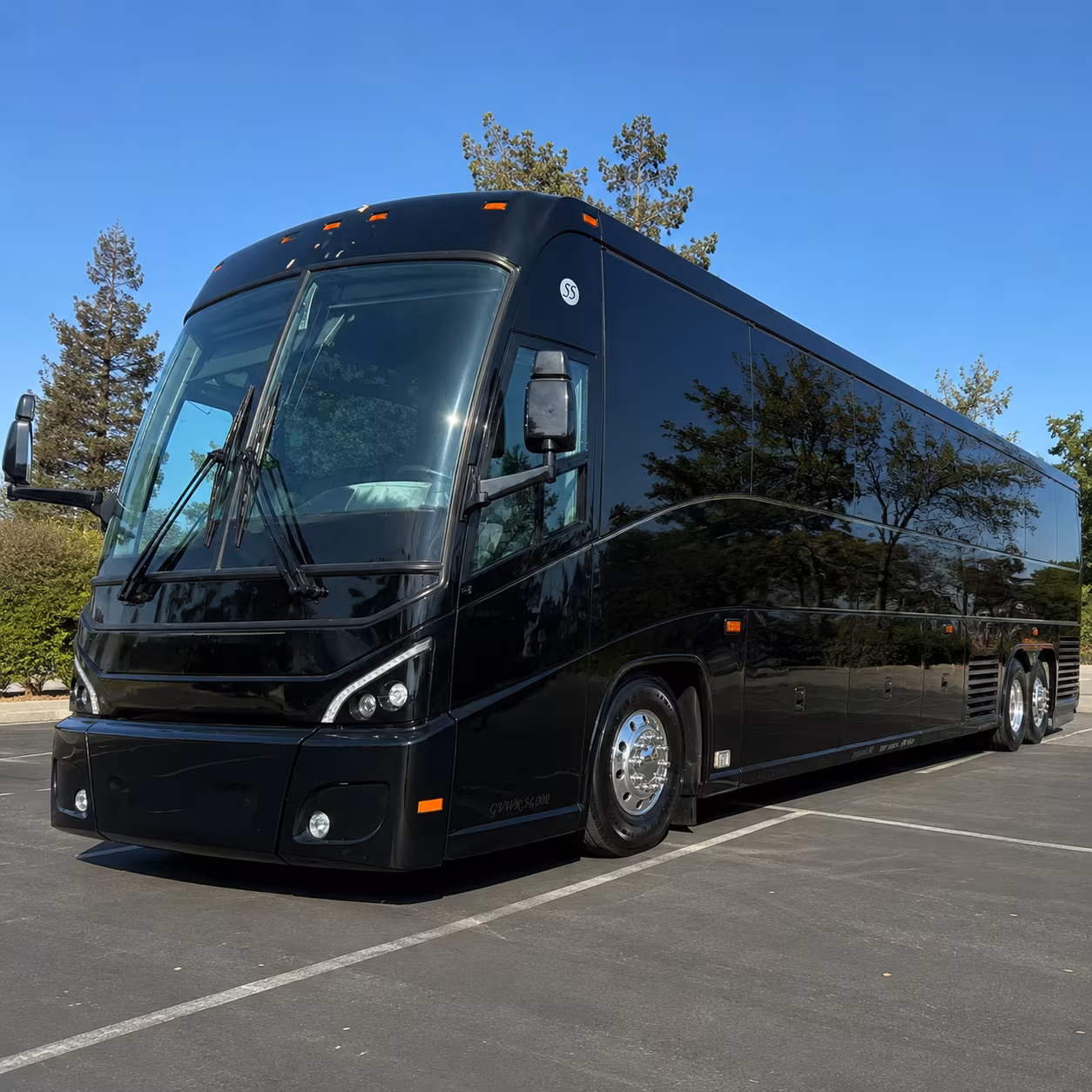 finding the right bus for multi day trips from st petersburg