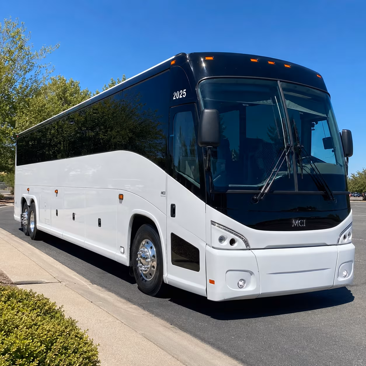 youth retreats and vbs transportation across the tampa bay area